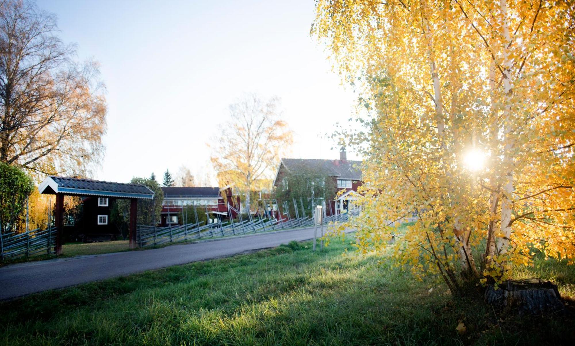 Akerblads Hotell Gaestgiveri Spa Tällberg Dış mekan fotoğraf